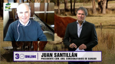 Liniers y los precios de la hacienda cuando se normalicen los envíos; con Juan Santillán - Consignatario