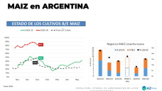 El Maíz llego a usd 200 ¿seguirá subiendo?; con Lorena D´ Angelo - Clínica de Granos