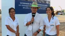 TV: 