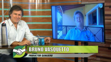 Pastoreo holstico de alta densidad en 350 has con 850 novillos; con Bruno Vasquetto