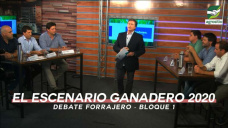 Debate Forrajero: Bloque 1 - Cmo ven el escenario Ganadero 2020?