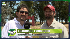 Estrategias para recuperar suelos salinos; con Francisco Larraburu - Kioshi Stone