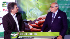 Diego Guelar ex Embajador en China, EEUU, Brasil, UE, y como exportar ms productos agropecuarios