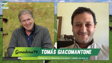 Cuando la buena genética Ganadera 