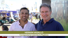 Cómo fue el Remate Ganadero más gran del Mundo: con 38.000 cab. vendidas en 14 hrs.; con Nano Vasallo - Colombo & Magliano