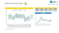 Maíz y precios: Atentos al avance de siembra de la safrinha en Brasil; con Clara Treachi - Clínica de Granos