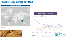 Si negocian Rusia y Ucrania ¿Qué pasa con el precio del trigo?; con Lorena D´ Angelo - Clínica de Granos