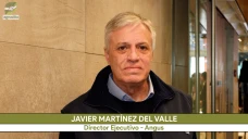 ¿Qué impacto tendrá la competencia por el cupo de carne barata en EE.UU.?; con J. Martínez del Valle - agrónomo