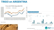 El precio del trigo llego al máximo del año ¿podrá seguir subiendo?; con Lorena D´ Angelo - Clínica de Granos