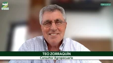 ¿Dónde están los mejores márgenes del agro hacia 2027? Las claves que plantea Teo Zorraquín