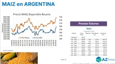 Maiz: En Chicago bajaron los precios, mientras que en Argentina suben; con Lorena D´ Angelo - Clínica de Granos