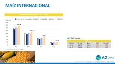 Maíz bajo presión: cosecha y stocks de EE. UU. presionan los precios, ¿qué puede pasar ahora?; con Clara Treachi - Clínica de Granos