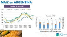 ¿Conviene vender Maíz ahora? La cosecha de EE.UU. presiona los precios en Chicago y Argentina; con Lorena D´ Angelo - Clínica de Granos
