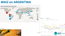Maíz en baja: la caída en EE.UU. contagia a Argentina y presiona los valores del mercado; con Lorena D´ Angelo - Clínica de Granos