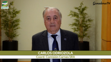 Comisión de Carnes SRA: ¿es momento de volver a Sistemas mixtos en los campos?