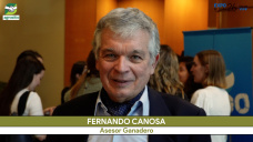 Fernando Canosa: 