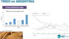 El Trigo 26/27 vuelve a superar los usd 225; con Lorena D´ Angelo - Clínica de Granos