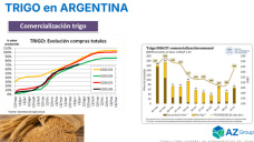 ¿Se perdió la oportunidad de vender trigo 26/27 a buenos precios?; con Lorena D´ Angelo - Clínica de Granos
