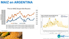 Hay que aprovechar los precios del maíz, antes que el clima aumente la oferta; con Lorena D´ Angelo - Clínica de Granos