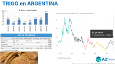 Trigo: ¿Seguimos teniendo oportunidades de colocar el saldo comercial de la cosecha 25/26?; con Clara Treachi - Clínica de Granos