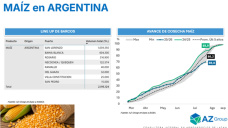 Mercado de maíz: los precios a nivel local continúan con un comportamiento propio; con Clara Treachi - Clínica de Granos