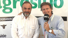 TV: 