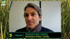 Invernada con récord histórico de precios, y mercado Ganadero a full; con Sebas Vogel - consignatario