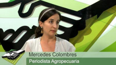 TV: Cmo ve una Periodista del campo los primeros 70 das de Macri?; con Mercedes Colombres