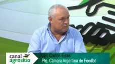 TV: 