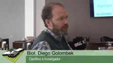 TV:  