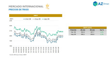 Trigo: contexto de gran oferta global, próxima campaña, y cómo vender; con Clara Treachi - Clínica de Granos