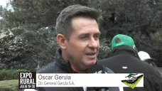 TV:  