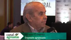 TV: 