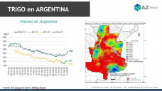 Trigo: sigue presente la intención de siembra en Argentina pero...más lluvias, con Catalina Ferrari - Clínica de Granos