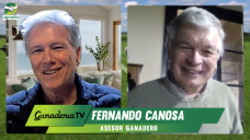La Carne argentina en el centro del mundo: ¿cómo prepararnos para este #BoomGanadero?; con F. Canosa - agrónomo