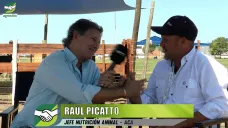 Programas de nutrición delineados para cada sistema Ganadero y Tambero; con Raúl Picatto - ACA