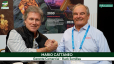 Hablemos de Cebada: Mario Cattáneo y el ABC entre clima, genética y comercialización