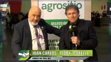 Manejando campos en ambientes inestables siendo sustentables y rentables; con 