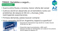 Trigo: ¿Qué pasará con el área 22/23 en Argentina?, con Sofia Ganly - Clínica de Granos