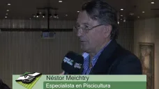 TV: 