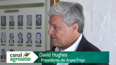 El productor debe saber defender el precio en Trigo por calidad; con D. Hughes - Pres. Argentrigo