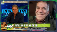 Oportunidades en Fruticultura para emprendedores en la era post K; con Mariano Winograd - agrnomo