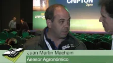 TV: ¿Cómo les está yendo a los productores y a los cultivos de fina en  sur?; con Juan Martín Machain