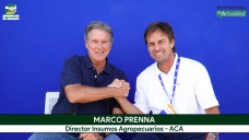 La Urea saltó de 540 a 750 US$/tn: qué puede pasar ahora; con Marco Prenna - Dir. ACA