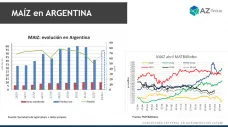 Maíz: El impacto de las plagas se siente en el cereal; con Lorena D´Angelo - Clínica de Granos