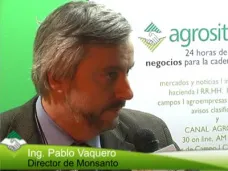 TV: 