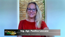 Soja: la pobre soja ya viene sufriendo el ataque de dos cisnes negros, con Paulina Lescano - Clnica de Granos