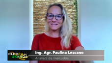 Soja: la pobre soja ya viene sufriendo el ataque de dos cisnes negros, con Paulina Lescano - Clínica de Granos