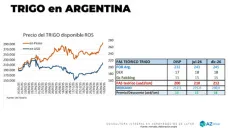 Trigo: buenos precios del cereal generan oportunidades; con Lorena D´ Angelo - Clínica de Granos