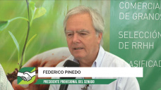 Hasta el Pres. de los Senadores habla del Boom Agropecuario; con Federico Pinedo - Pres. Cm. Senadores